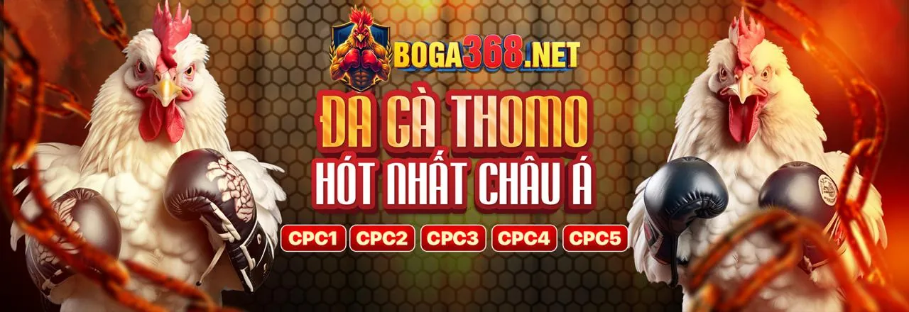 Bảo mật và hỗ trợ khách hàng của BC.GAME App