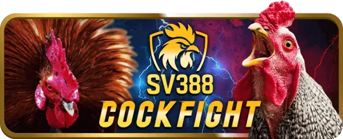 Bảo mật tối ưu và giao dịch nhanh chóng trên bcgame app